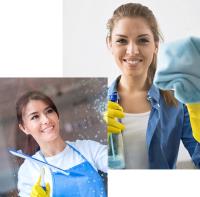 Essential Cleaning Services Limited image 3